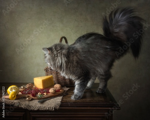 Hungry kitty on the table with delicious food and fruits photo