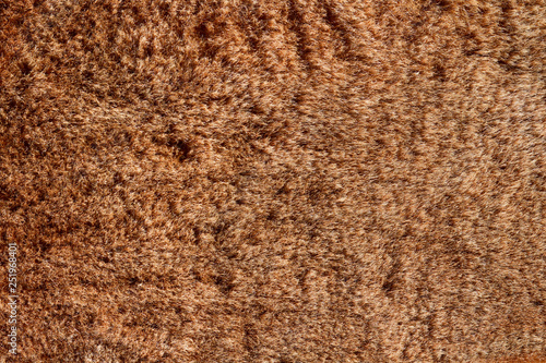 brown wool  sheep s wool texture