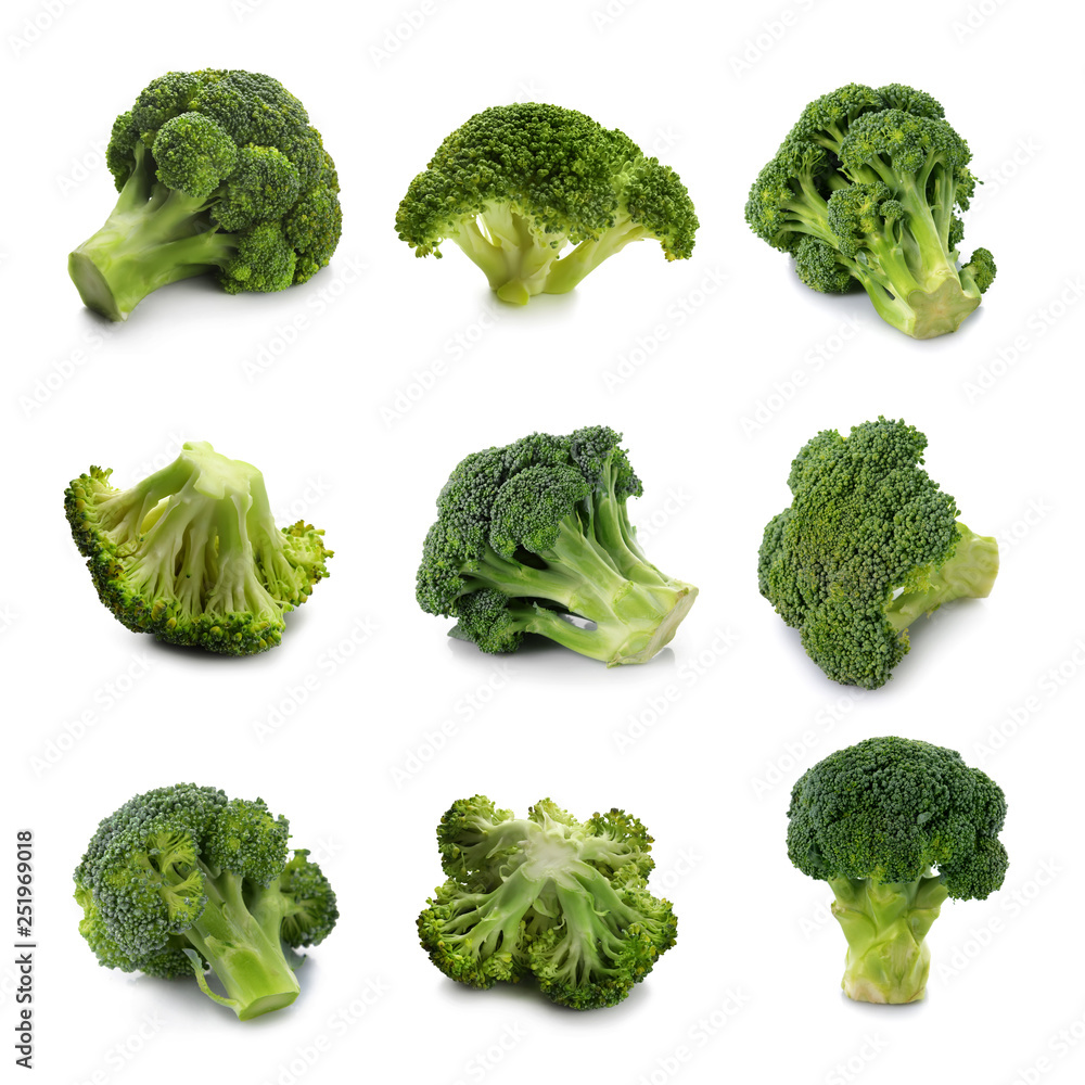 Fresh green broccoli on white background Fresh green broccoli on white background
