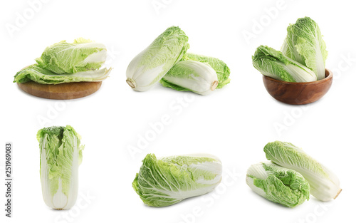 Set of fresh Chinese cabbage on white background