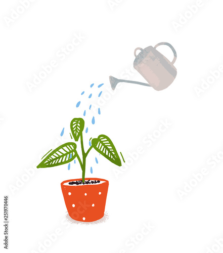 Watering of home plant with green leaves in orangle pot. Hand drawn illustration of home gardening, symbol of care and growth.