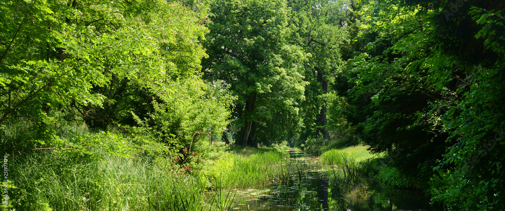 Obraz premium Landschaft 663