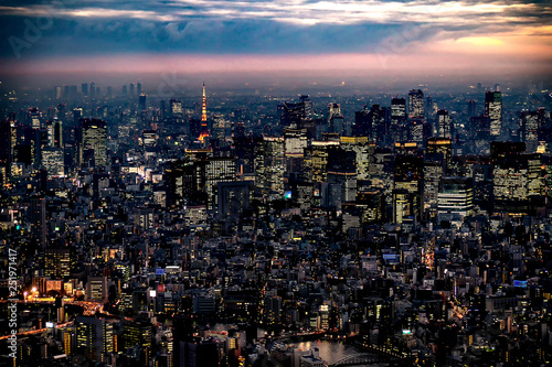 Tokyo Tower with skyline cityscape in Tokyo, Japan at night © yaophotograph