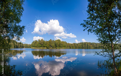 Summer landscape with calm lake in boreal forest panorama