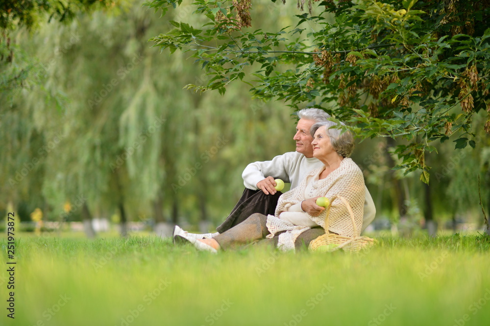 Portrait of elderly couple having a picnic in the summer Portrait of elderly couple having a picnic in the summer