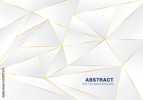 Abstract polygonal pattern luxury on white and gray header background with golden lines.