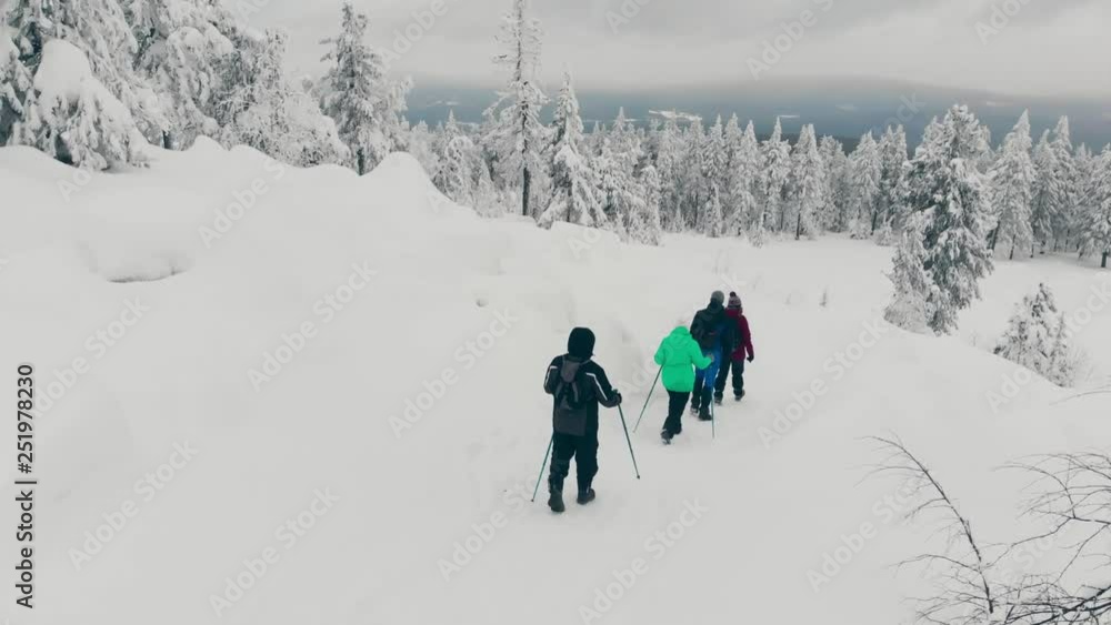 Family Walking Hiking In Winter Snow Forest Aerial View. Active Lifestyle Mountain Climbing Winter. Dangerous Journey Hiking Winter Adventure Vacation. Drone Flying Over Beautiful Frozen Pine Trees Family Walking Hiking In Winter Snow Forest Aerial View. Active Lifestyle Mountain Climbing Winter. Dangerous Journey Hiking Winter Adventure Vacation. Drone Flying Over Beautiful Frozen Pine Trees