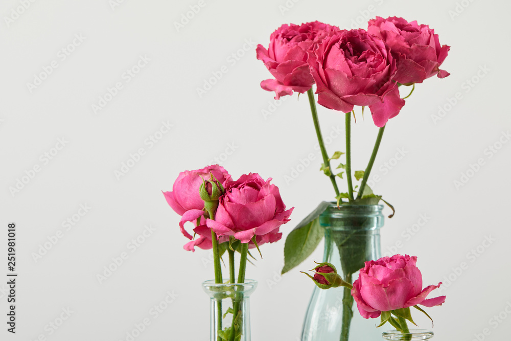 fresh pink roses in transparent bottles isolated on white with copy space