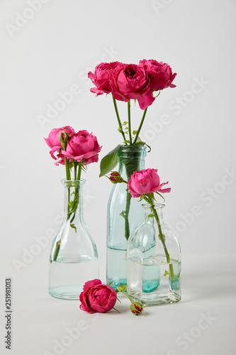 Wallpaper Mural fresh pink roses in transparent bottles on white background Torontodigital.ca