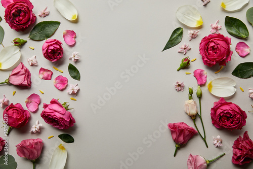 top view of floral frame made of pink roses and petals isolated on grey with copy space