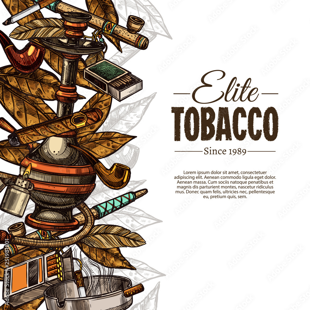Vector sketch posters with tobacco and smoking collection. Colorful hand drawn background with cigarettes, cigars, hookah, tobacco leaves, pipes
