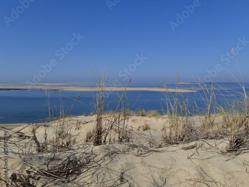 View from Dune of Pyla in Pilat village near Arcachon Bay in France