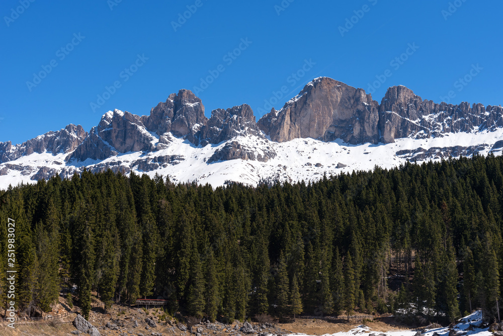 Panoramic view of The Dolomites with forest and mountains against the blue sky in spring, South Tyrol, Italy