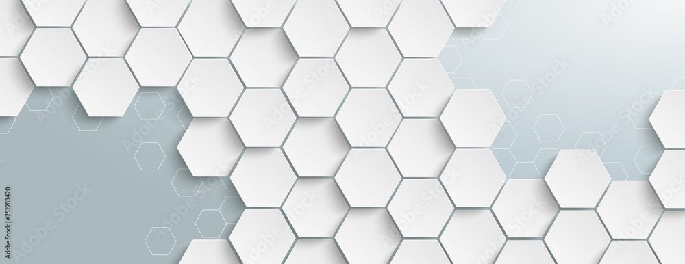 White Hexagon Structure Grey Edges Header - obrazy, fototapety, plakaty 