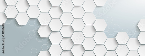 White Hexagon Structure Grey Edges Header photo