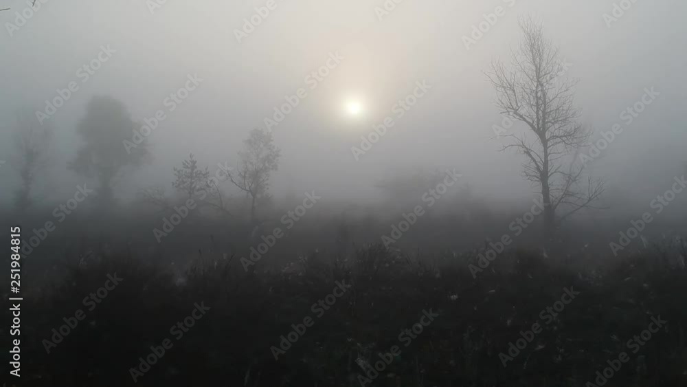 Magic Fairy morning autumn fog Magic Fairy morning autumn fog