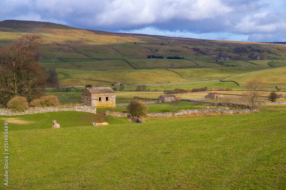 Swaledale, North Yorkshire.  Swaledale is known for small stone wall surrounded fields with stone barns and Swaledale Sheep. Swaledale is part of the North Yorkshire dales.