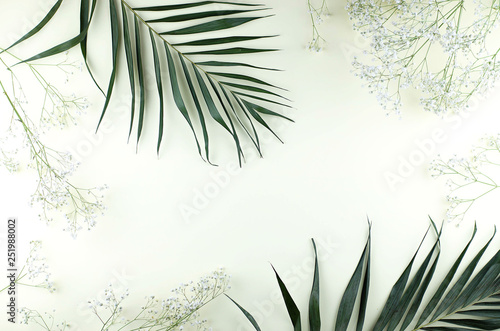 Frame of palm and gypsophila branches on a yellow background.
