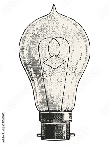 Pear Light bulb vector illustration