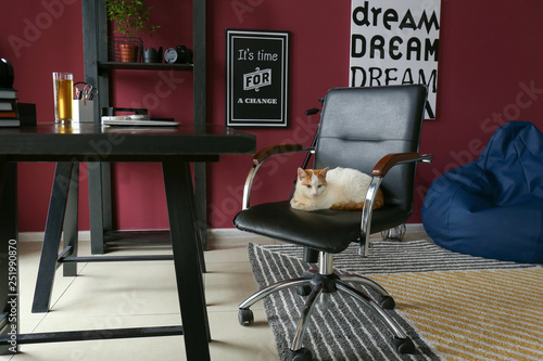 Cute cat sitting in armchair in interior of room