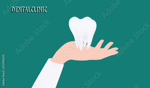 White molar tooth in female hand - isolated on green background - flat style. Dental clinic
