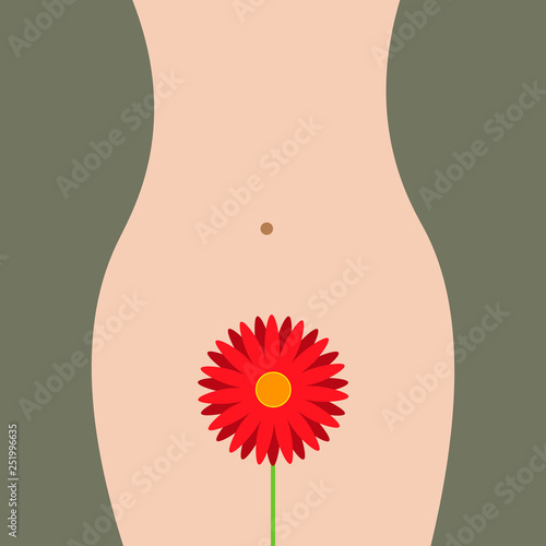 stylization of the menstrual cycle red flower. Menstrual cycle. Menstruation is a woman s monthly bleeding. Menstrual flow.