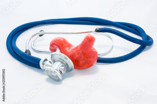 Blue stethoscope encircles stomach shape on white background. Idea of photo diagnosis, prevention and treatment of diseases of stomach and digestive tract, preoperative preparation, research photo