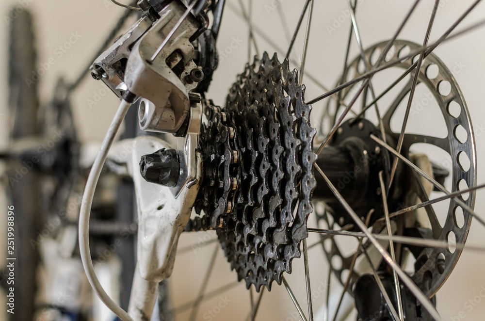 Fototapeta premium Master repairs bicycle in bicycle repair shop