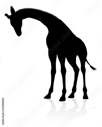 A high quality giraffe anim...