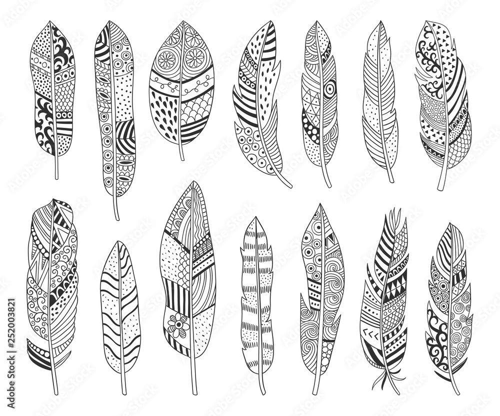 Feathers big illustration set on white background. Hand drawn vector outline feathers boho style design graphics Feathers big illustration set on white background. Hand drawn vector outline feathers boho style design graphics