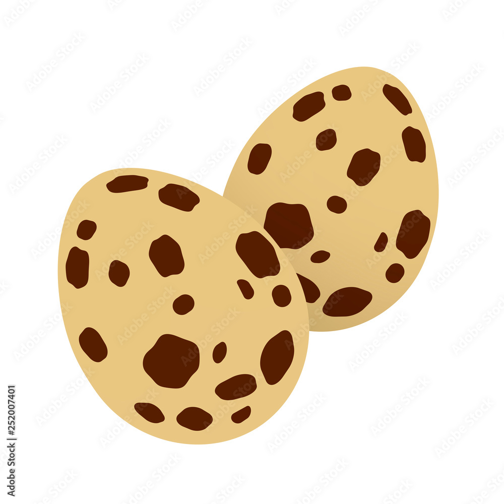 Fototapeta premium うずらの卵