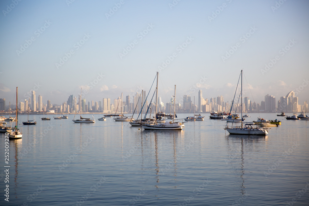 yachts in the harbor