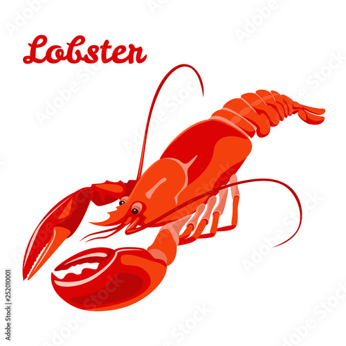 Vector lobster isolated on white background. Bright illustration of  seafood in simple flat style.