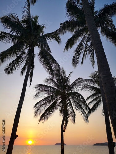 Beautiful sunset surrounding with coconut trees on the shore. 