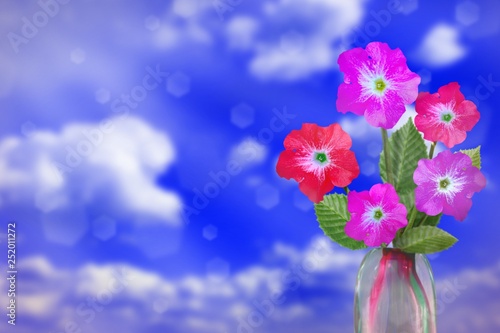 Beautiful live petunia bouquet bouquet in glass vase with blank place for your text on left on cloudy sky bokeh background.