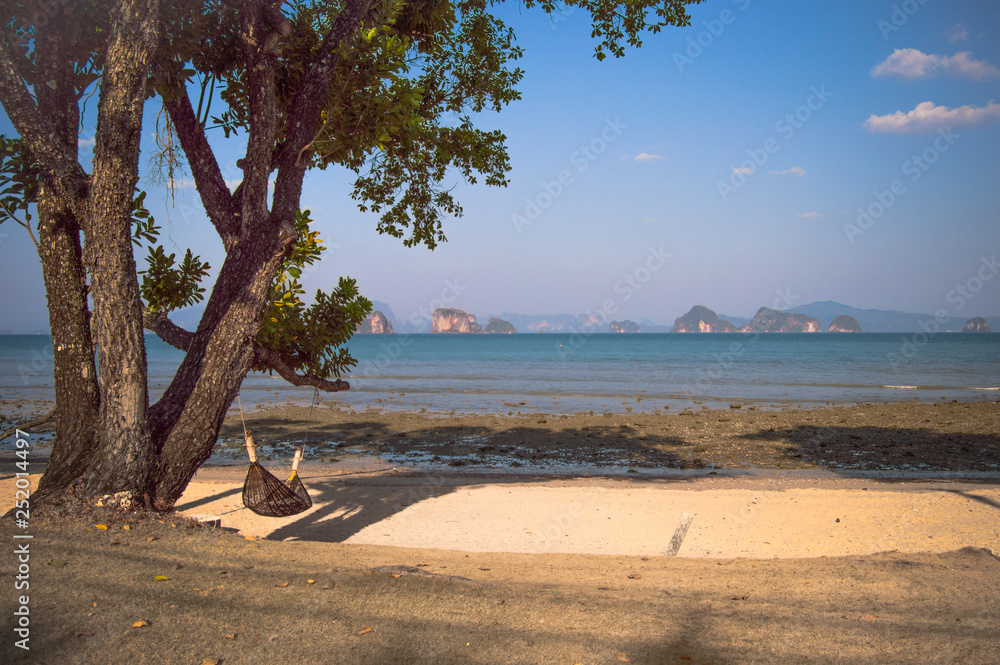 Tree on the beach