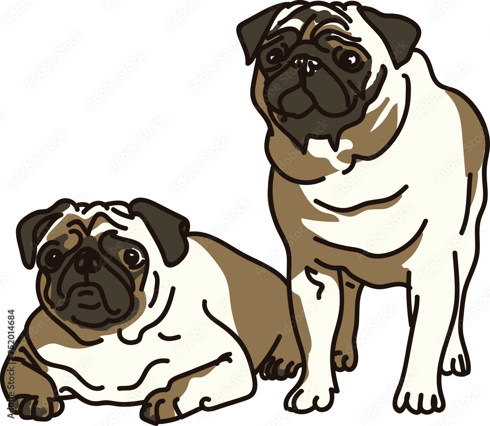 Perro Perro