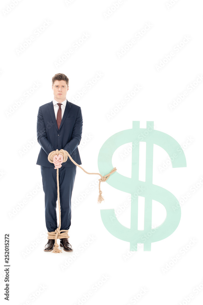 professional businessman bound with rope to dollar sign isolated on white professional businessman bound with rope to dollar sign isolated on white