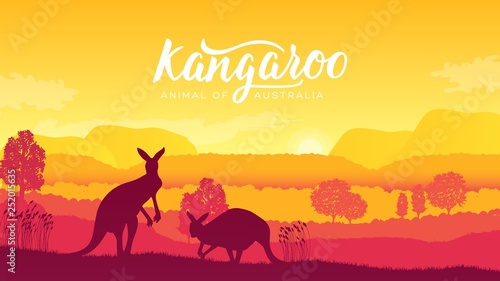 Australia kangaroo on landscape nature background. Wild animals in their natural habitat. Sunrise vector illustration