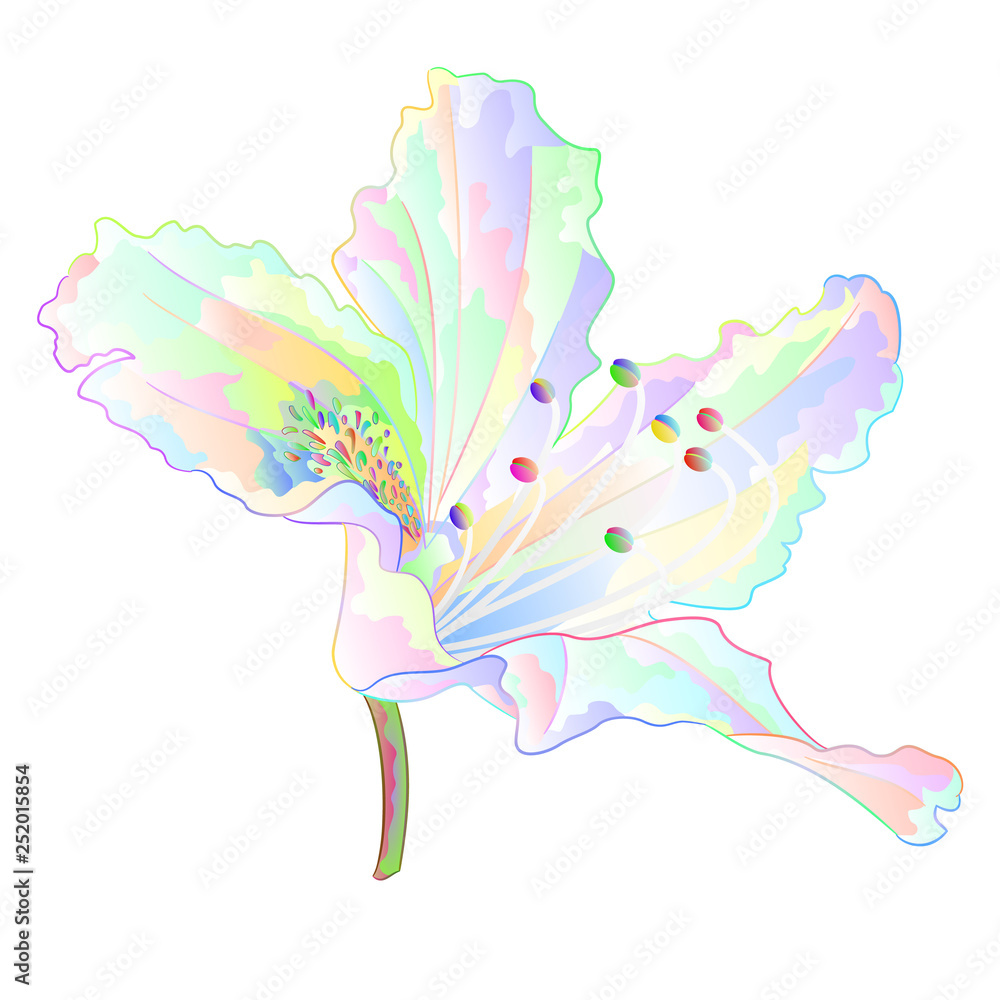 Colorful Rhododendron  light  flower   mountain shrub on a white background  vintage vector illustration editable hand draw