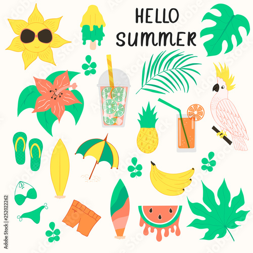Set of cute summer objects. Fruits  cocktail  palm leaves and parrot. Beach party vector elements.