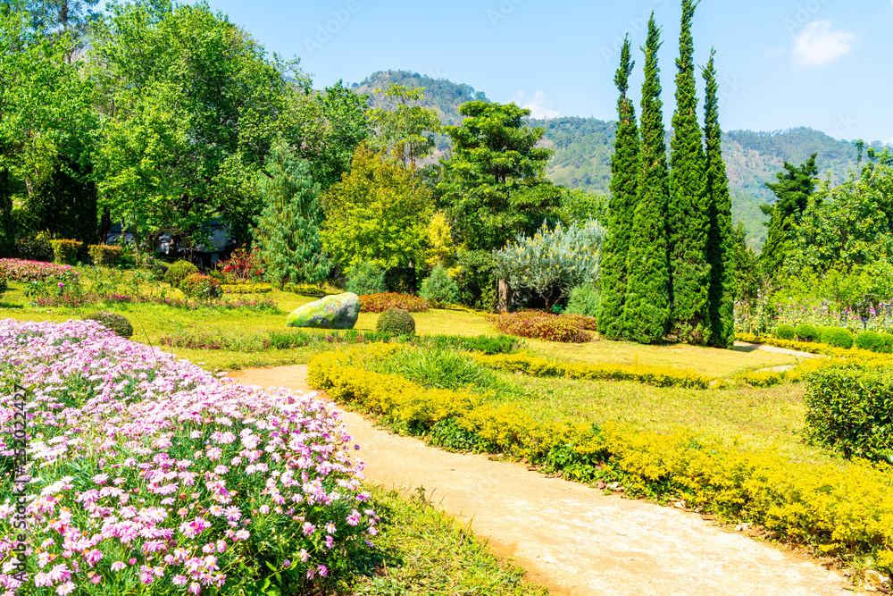 Obraz premium beautiful garden park on mountain in Chiang Mai, Thailand