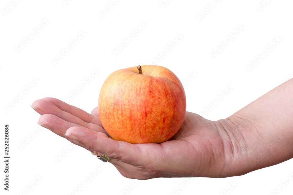 apple on a hand apple on a hand