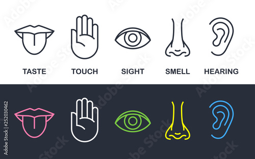 Five human body senses sign set with nose for smell, tongue for taste, hand for touch, eye for sight, and ear for hearing - line icons. Vector illustration.