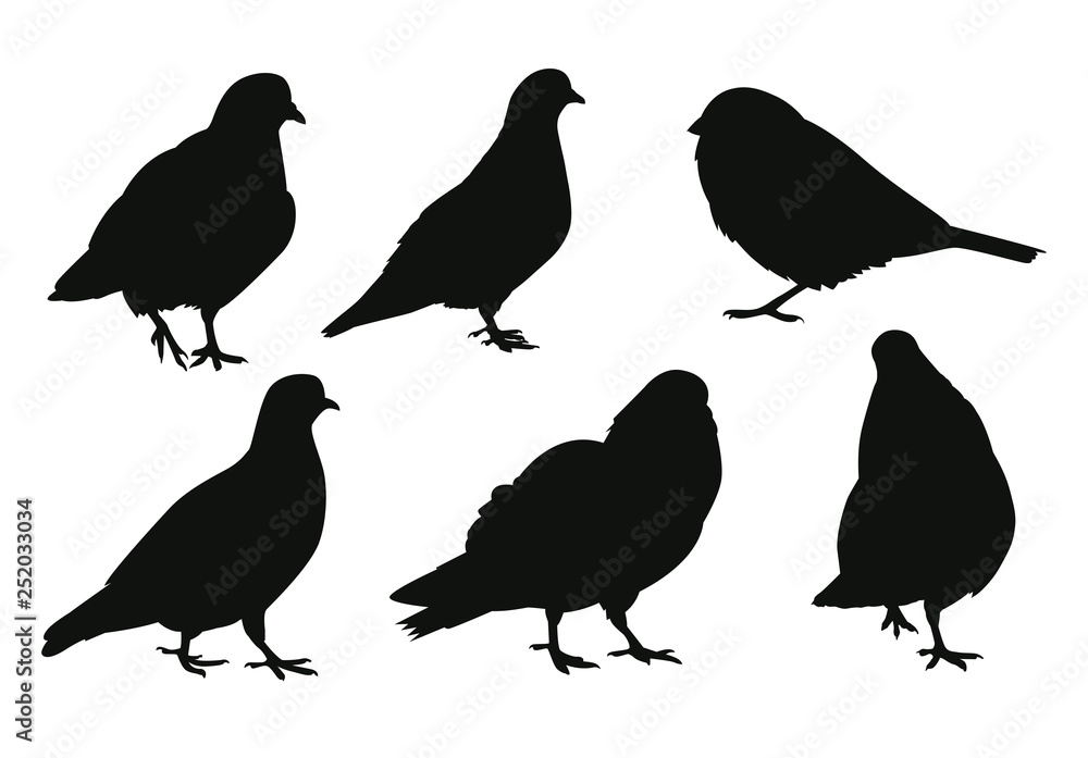 Set of birds silhouettes Set of birds silhouettes