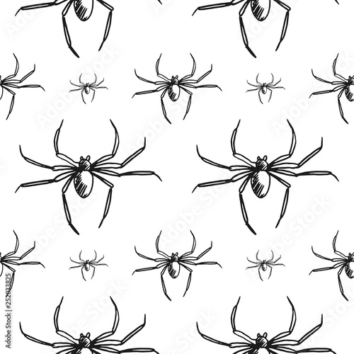 spider seamless pattern isolated on white background