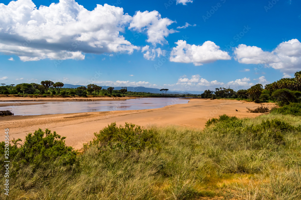 View of the Ewaso Ng'iro River in the savannah