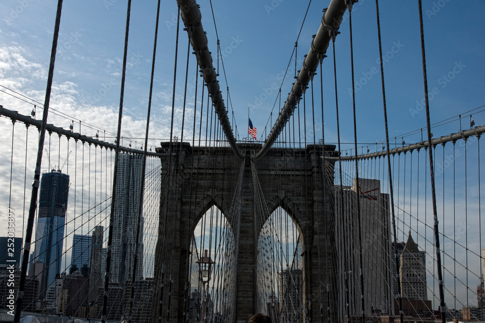 Obraz premium SONY DSC