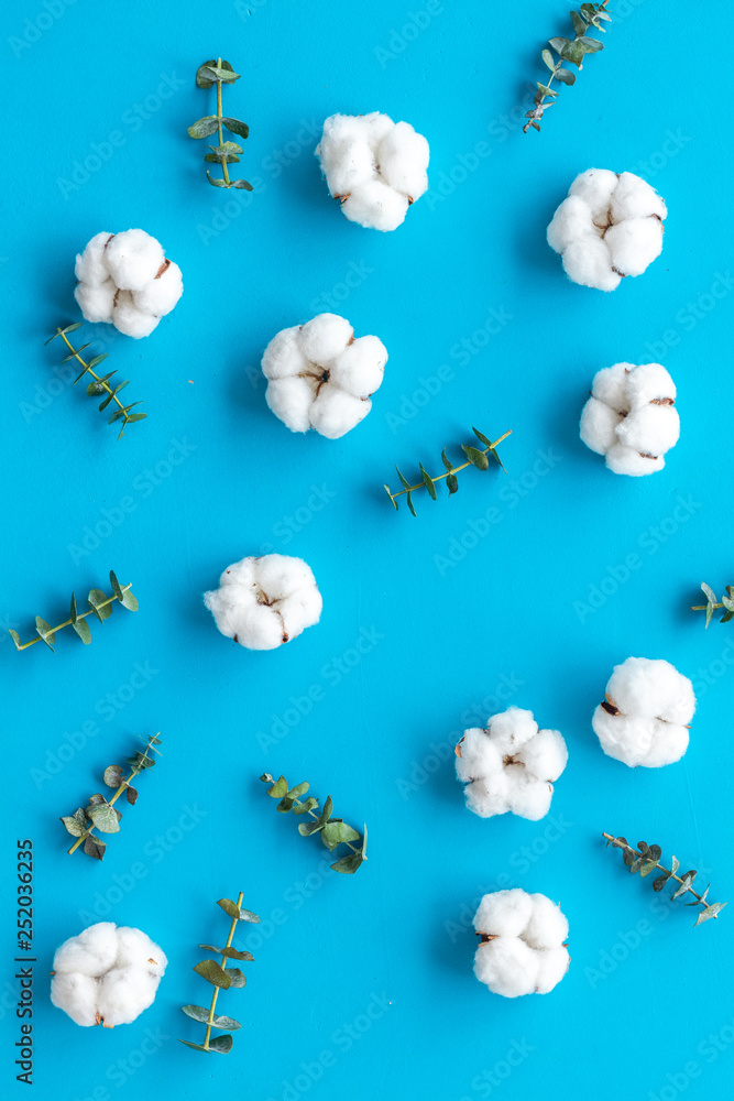 Flowers background with green eucalyptus branches and dry cotton flowers on blue table top view Flowers background with green eucalyptus branches and dry cotton flowers on blue table top view