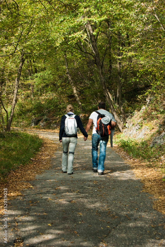 A couple hand in hand walking on a pathway in the middle of a wood A couple hand in hand walking on a pathway in the middle of a wood
